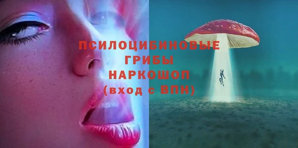 гидра Балахна