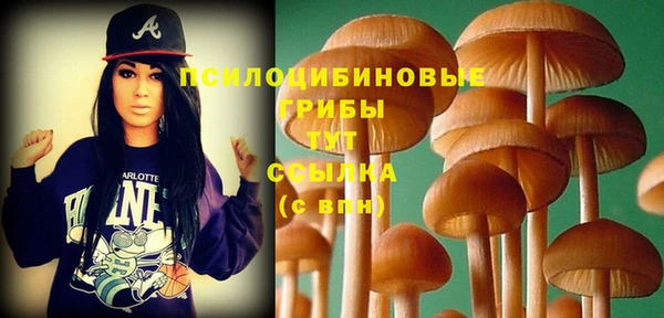 гидра Балахна