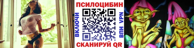 Купить закладки  Вышний Волочёк  Псилоцибиновые грибы GOLDEN TEACHER 